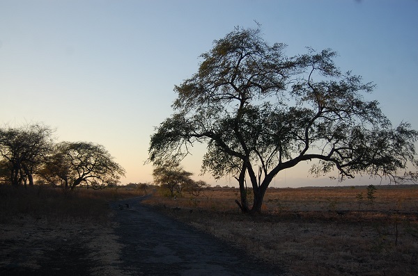 Keindahan alam Taman Nasional Baluran