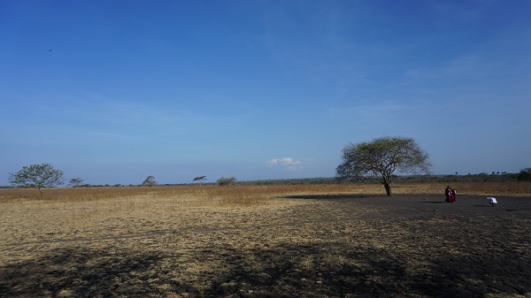 Pesona Taman Nasional Baluran