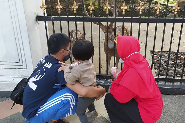 Para pejalan kaki bersama anak-anak dari jalur pedestrian memberi makan rusa-rusa yang didatangkan langsung dari Nepal dan tetap terjaga dari dulu sampai sekarang