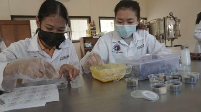 Universitas Kristen Satya Wacana Membuat Permen Jelly Herbal