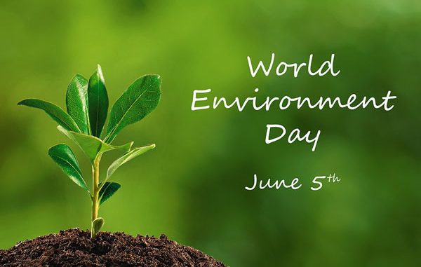 Inspirasi Ucapan Hari Lingkungan Hidup Sedunia Bahasa Indonesia Dan Inggris Cocok Untuk