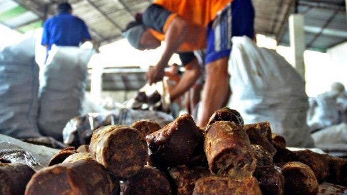 Produsen Gula Kelapa di Pacitan Jawa Timur