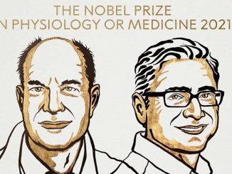 David Julius dan Ardem Patapoutian, pemenang Hadiah Nobel 2021 di bidang kedokteran dan fisiologi. (KalderaNews.com/@NobelPrize)