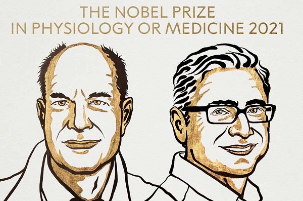 David Julius dan Ardem Patapoutian, pemenang Hadiah Nobel 2021 di bidang kedokteran dan fisiologi. (KalderaNews.com/@NobelPrize)