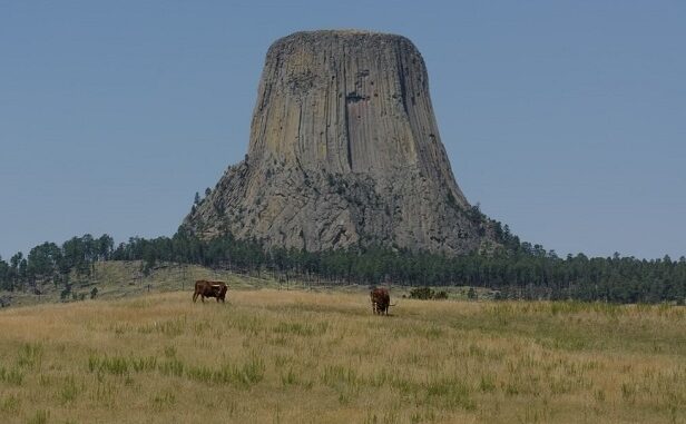 Parnorama Devils Tower dengan hamparan taiga dan padang rumput yang luas di alas kakinya. (KalderaNews/IG @vgmphotography)