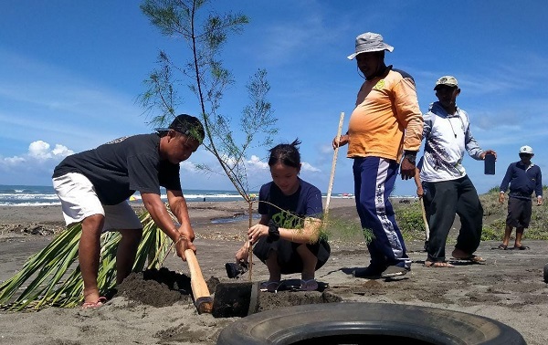 Peserta didik SMA Stella Duce 1 Yogyakarta menanam pohon cemara dengan tema “Pantai Bersih, Teduh, dan Rindang” pada Sabtu, 4 Maret 2023 