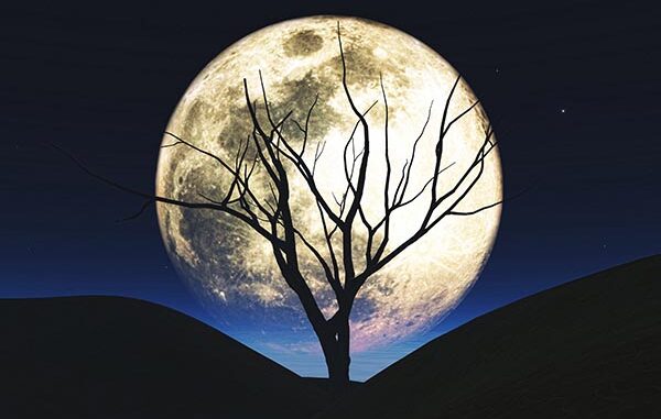 Fenomena full harvest moon. (image by freepik)